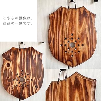 M ビカクシダ養生板 13枚セット M ビカクシダ養生板 13枚セット M ビカクシダ養生板 13枚セット